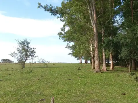 Ruta 37 Km 13 1000