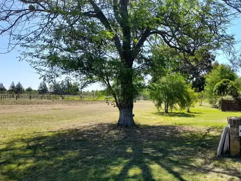 Av. Domingo Fernandez Beschted  s/n