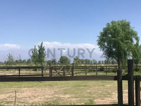 TERERENO EN VENTA EN TUNUYAN