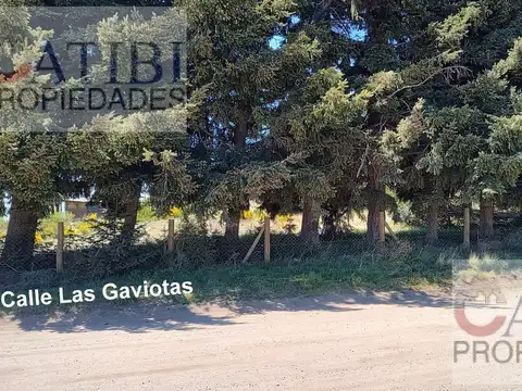 Lotes en PH en venta. Los Pinguinos y Las Gaviotas. Dina Huapi