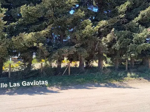 Lotes en PH en venta. Los Pinguinos y Las Gaviotas. Dina Huapi