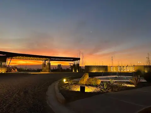 LOTE EN VENTA BARRIO EL BOSQUE FTE A ESPACIO VERDE