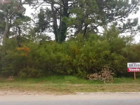 Terreno en Venta 25  mts Frente