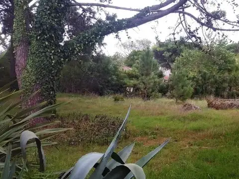 Terreno en Venta 30  mts Fondo