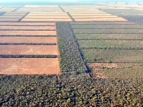Campo en Venta de 11.799  ha