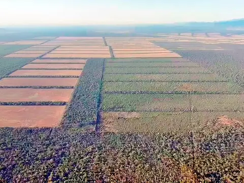 Campo en Oran, Pcia de Salta - 11.800 has en VENTA