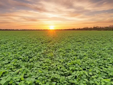 Campo en Venta en San Ramón de la Nueva Oran, Orán