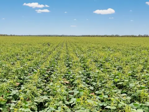 Campo en Oran, Pcia de Salta - 11.800 has en VENTA