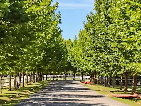 VENTA LOTE 1836 m² Barrio Haras del Sol - Pilar