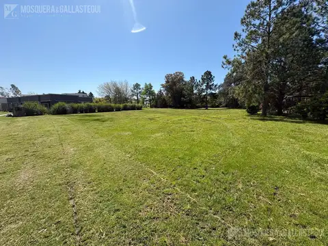 Terreno Casuarinas del Pilar