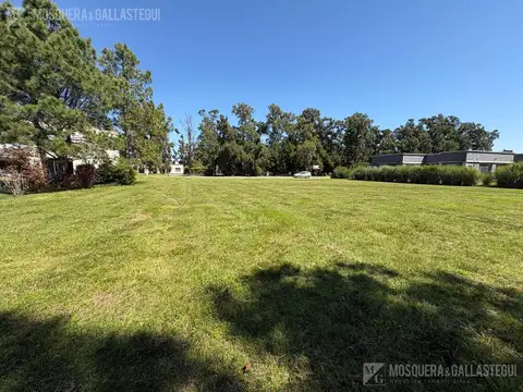 Casuarinas del Pilar 37