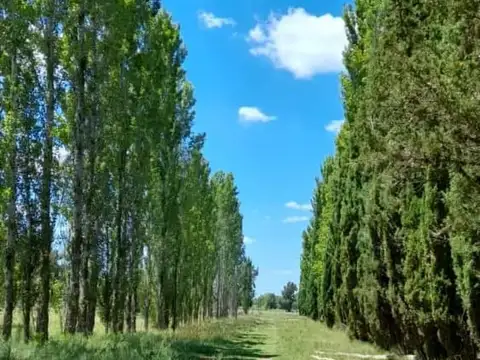 autopista pilar/pergamino km  84 (lote UF. 17)