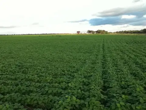 Campo en Venta con Alambrado