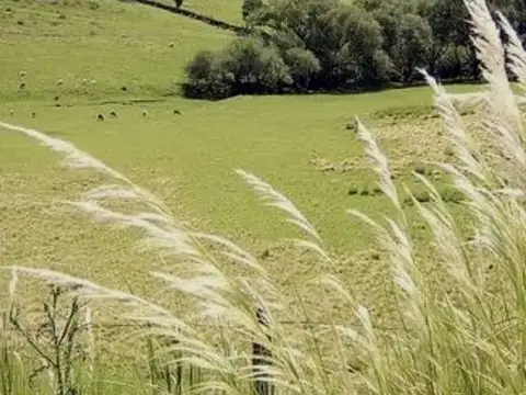 VENDO LOTE 600 M2 EN YACANTO TODOS LOS SERVICIOS