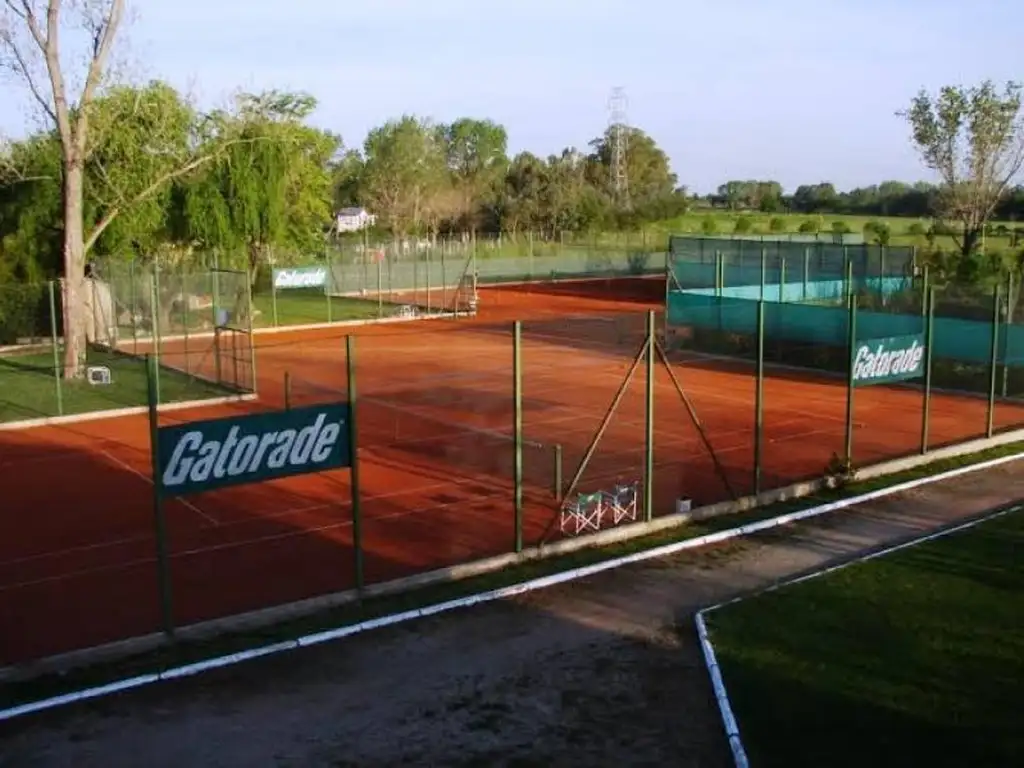 Actividades deportivas futbol, voley, tenis, basquet, hockey en Sausalito