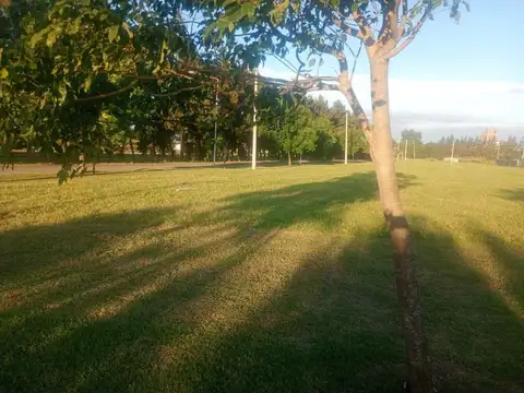 Almendro 2000