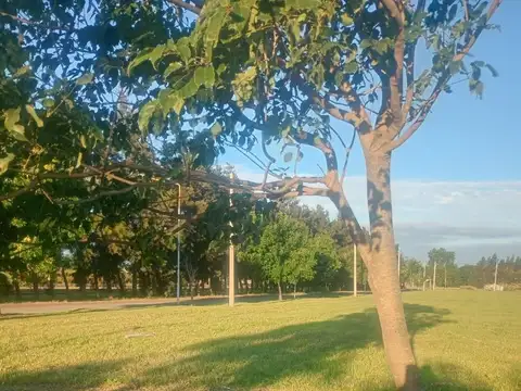 Terreno en Venta en Alvear, Rosario