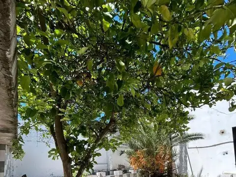 Depto Tipo Casa en Venta de 6 ambientes