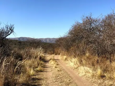 PUNILLA secc 03mz 62 parcela 8