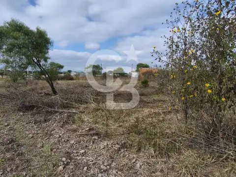 VENTA | TERRENO LA ALAMEDA