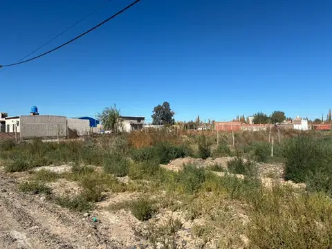 Terreno en Venta de 350,0 m2