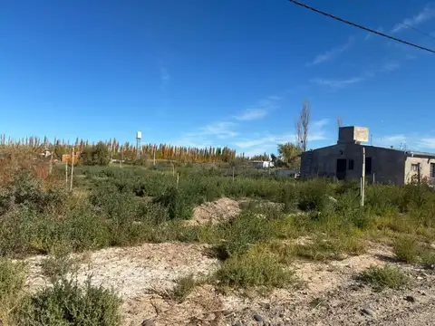 Terreno en Venta en General Roca, USD 12.000