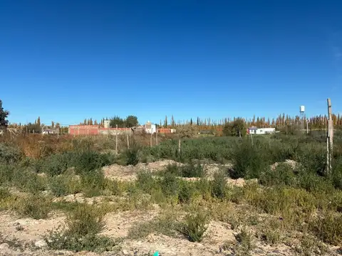 Terreno en Venta en General Roca, USD 12.000