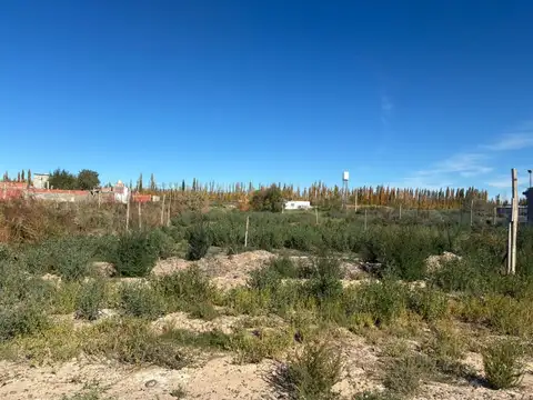 Terreno en Venta de 350,0 m2