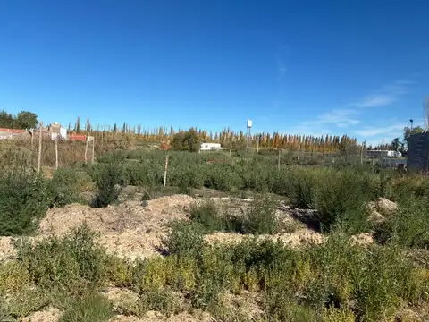 Terreno en Venta en General Roca, USD 12.000
