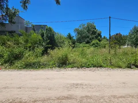 Terreno - Arturo Segui