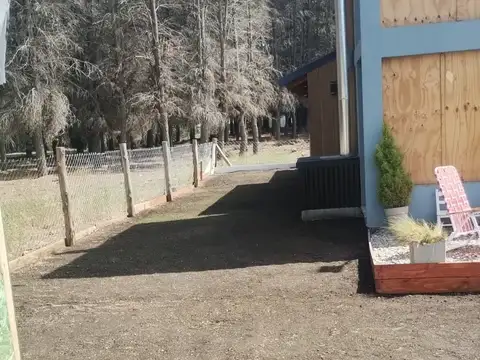 Roberto Killmeate 1000