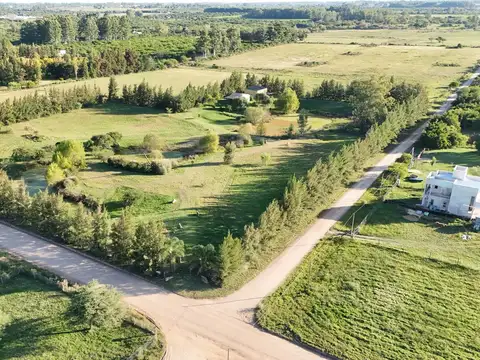 Parcela de 11,5 Has entre Colón y San José 