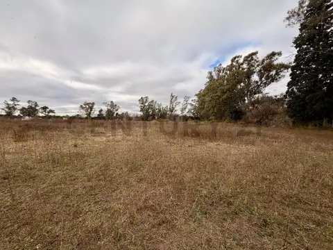 Campo en venta 2 ha en Villa Esquiú Córdoba