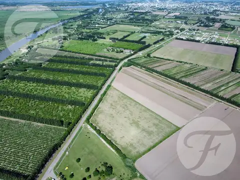 Inversión con proyección: 4,5 hectáreas con proyecto de 33 lotes residenciales en San Pedro