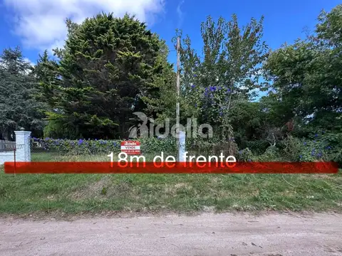 Los Naranjos, Magdalena 100