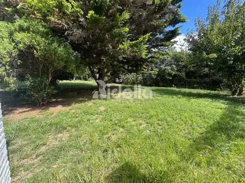 Terreno en Venta 59,20  mts Frente