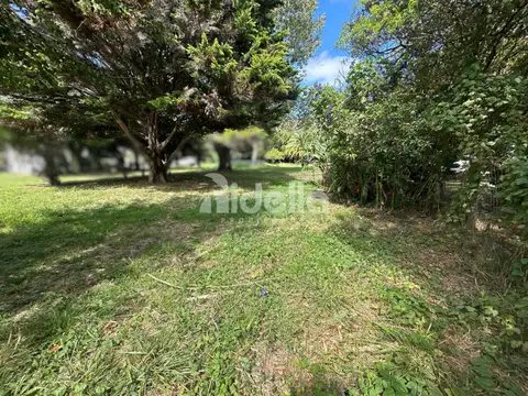 Terreno en Venta 18  mts Fondo