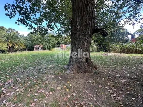 Los Naranjos, Magdalena 100