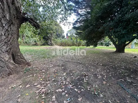 Lote en venta de 1065.6m2 - Los Naranjos - Arbolado, privacidad, tranquilidad