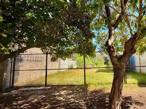 Las Acacias 100