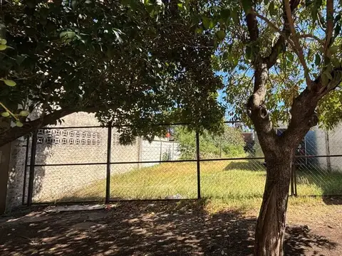 Las Acacias 100