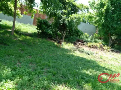 Terreno en Venta 50  mts Frente