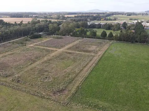 VENTA DE LOTE EN TANDIL ZONA BARRIO GRADUADOS