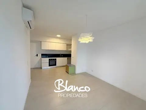 Luciérnagas Pilar 300