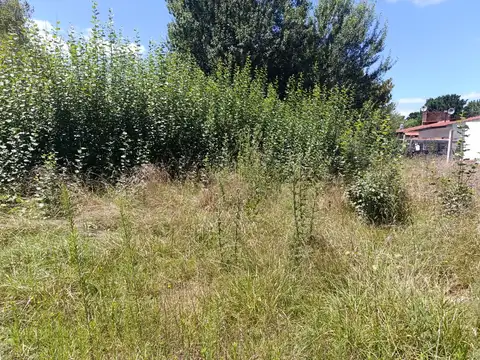 Terreno en Venta 30  mts Fondo
