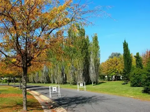 Terreno en Venta de 509,0 m2