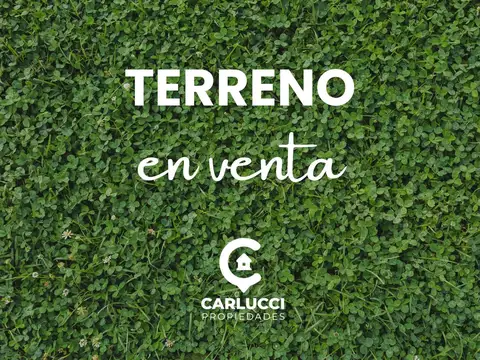 Terreno venta Ituzaingo norte
