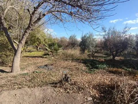 INMOBILIARIA OPENHOUSE VENDE CALLE LAMADRID. SAN ROQUE. MAIPU