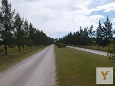 Campos De Roca II