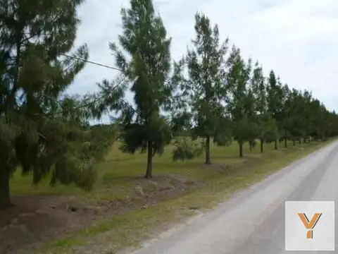 Terreno en Venta en Countries y Barrios Cerrados en Brandsen, USD 24.000